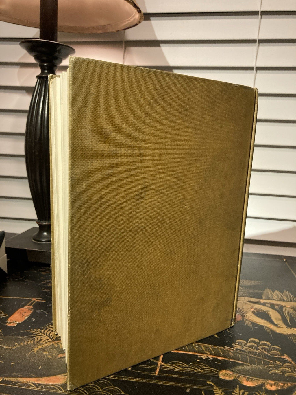 A Dream of Fair Women Illustrated Harrison Fisher Hardcover 1907 