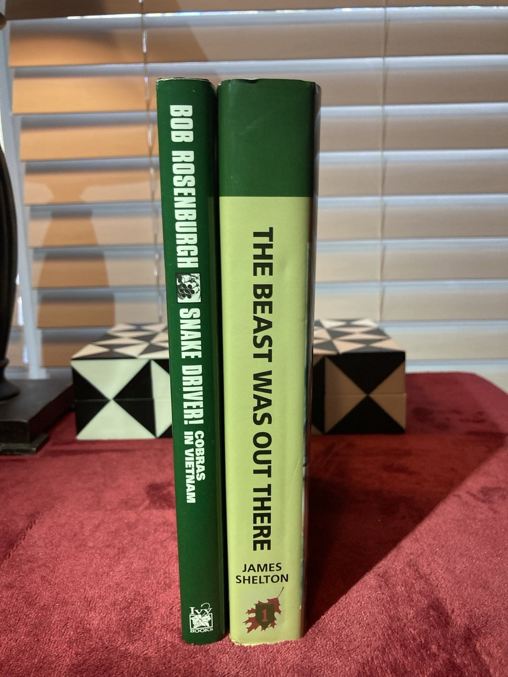 2-Vietnam War Books, Snake Driver! Cobras in Vietnam & The Beast Was Out There